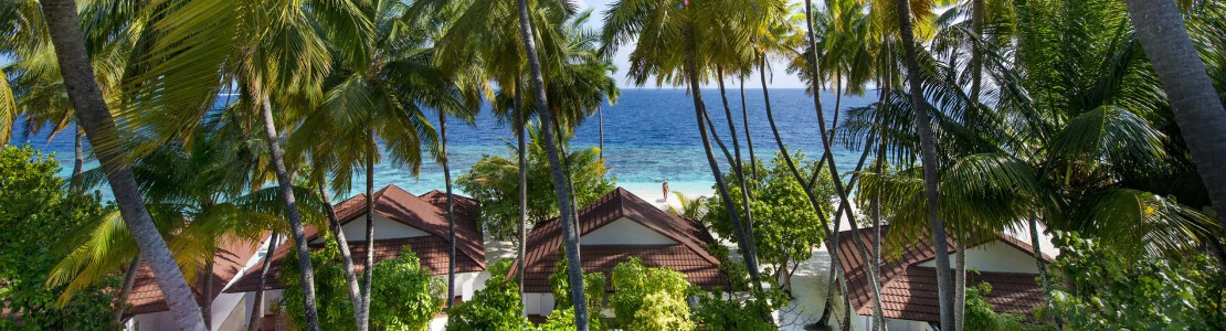 Diamonds Thudufushi Maldives Resort & SPA resort image