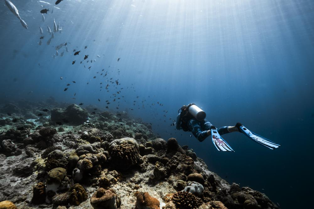 Diver above a reef at Six Senses Kanuhura